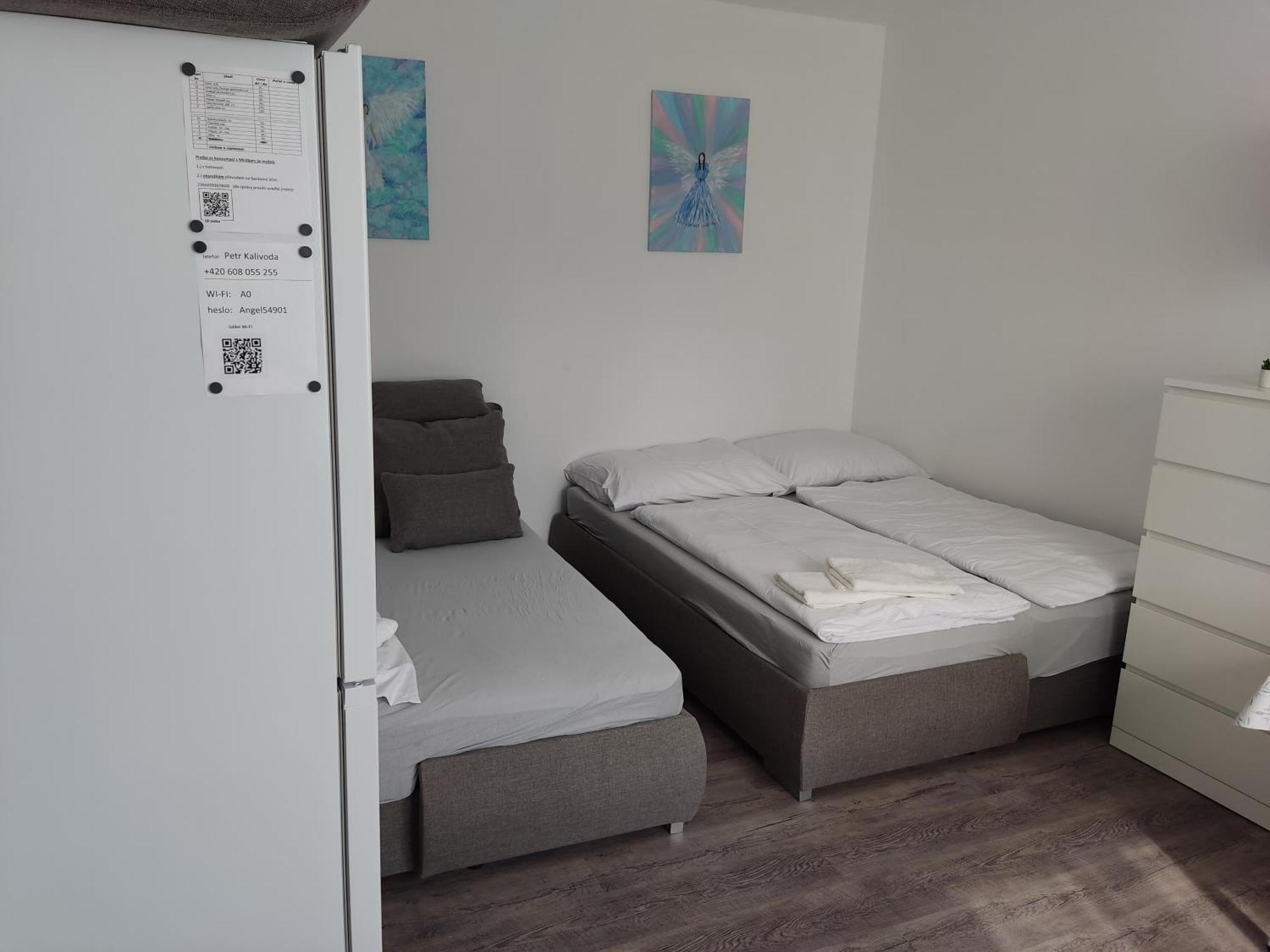 Angel Apartman Nové Město nad Metují Eksteriør billede